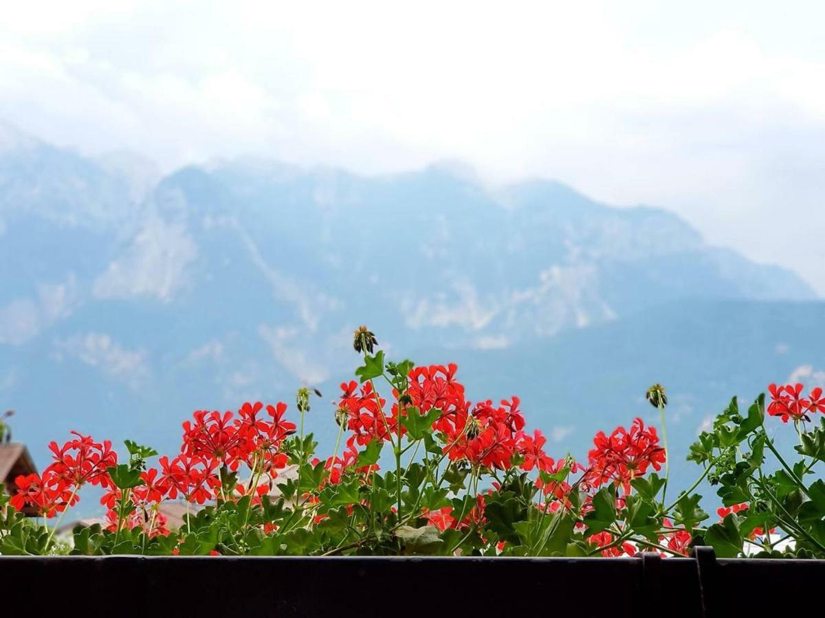 La Casa Di Michela - 120M2 In The Mountains With Fireplace & Garden Strigno Екстер'єр фото
